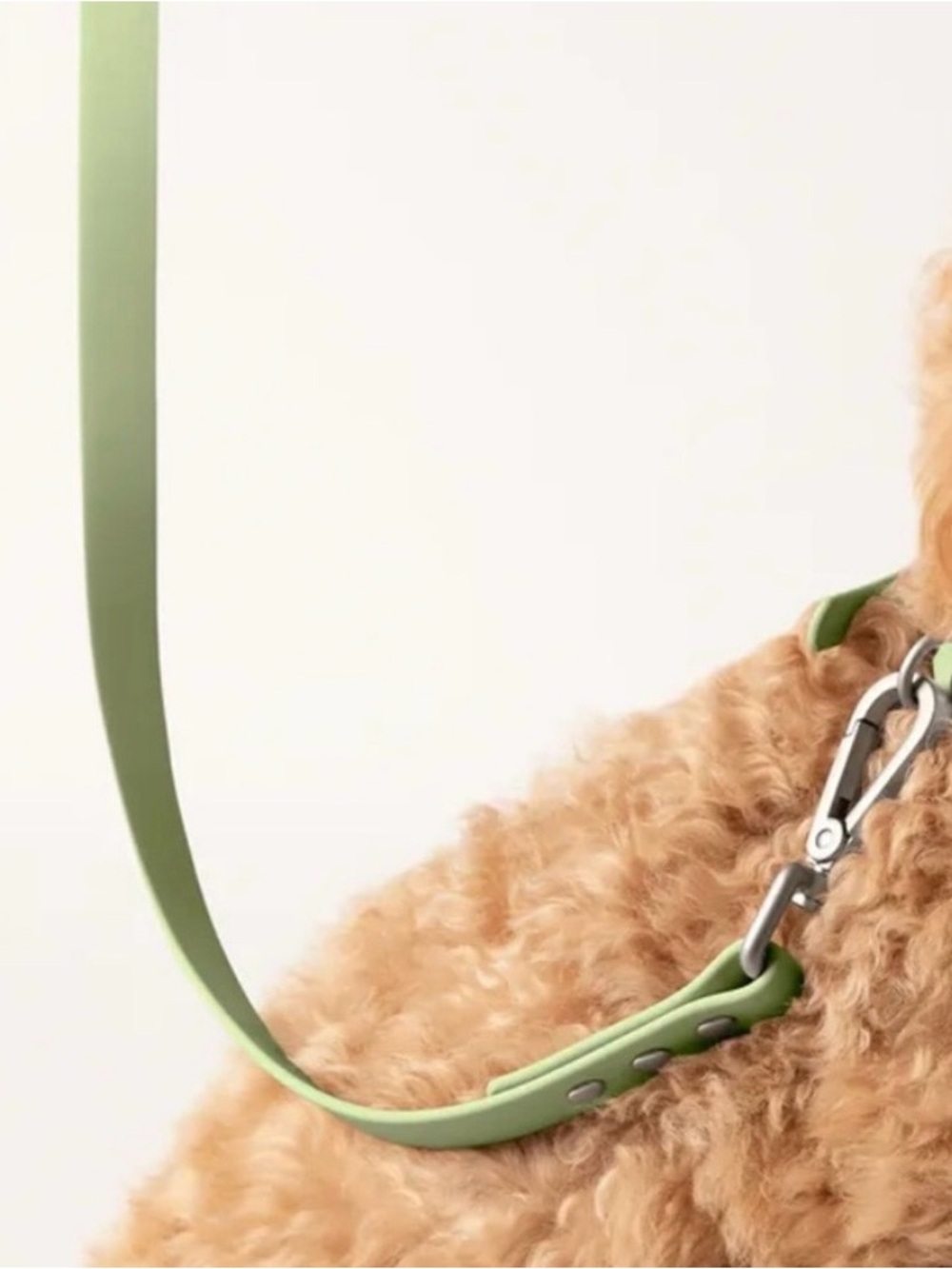 Diggs Dog Leash Light Green - 4 Ft